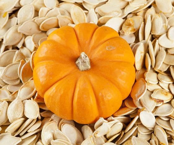100_ Natural Raw Pumkin Kernels_Pumpkin Seeds
